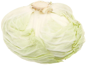 Exportación de repollo fresco de primera calidad - Product Image 4