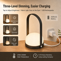 MSBN Lampe de chevet suspendue réglable, rechargeable par USB, lumière d'ambiance douce pour chambre à coucher