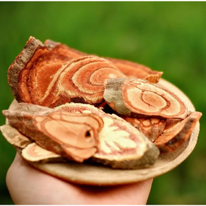 Caulis spatholobi/đích thực sản phẩm thảo dược/tốt nhất số lượng lớn giá/sản xuất tại Việt Nam - Product Image 4