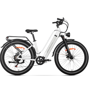 จักรยานไฟฟ้า Electric City Bike 48V16AH แบตเตอรี่แบบซ่อน ขนาด 27.5 นิ้ว แบบ Step-Thru สำหรับสหรัฐอเมริกา - Product Image 1