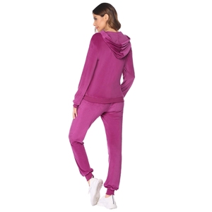 Velours haute qualité 100% coton Tech polaire femmes survêtement uni surdimensionné deux pièces à capuche ensemble pour dames - Product Image 1
