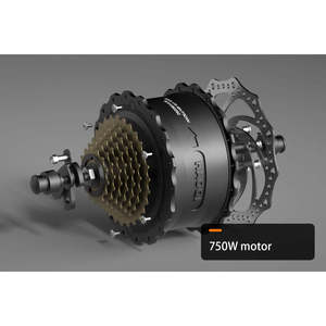 Vélo électrique longue portée HAOQI Eagle amélioré (certifié) Moteur 48V 750W Batterie 20AH Charge utile de 400 lb - Product Image 6