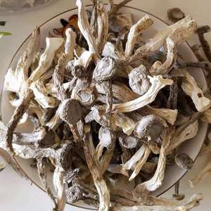 Vietnam séché bois de cerf champignon 450g 12oz vente en gros corne de cerf champignon exportateur - Product Image 6