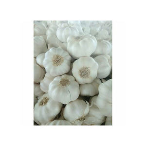 Ail frais bon marché idéal pour les supermarchés, les restaurants et les grossistes - Product Image 5