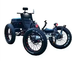 Quadricycle électrique à pneus larges avec écran LCD et moteur puissant - Product Image 1