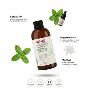 Shampoo Rinfrescante alla Menta 200 mL per Cani con OEM PL Italia RedMoringa per la Toelettatura degli Animali Domestici - Product Image 3