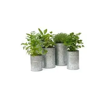 Hot Offers Modern Designed Planter with Custom Size Available For Home & Garden Decoration Uses Low Prices