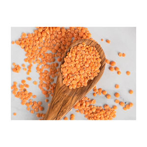 ถั่วแดงแห้งคุณภาพสูงราคาดีที่สุดสำหรับการแยกและทั้งพันธุ์ - Product Image 4