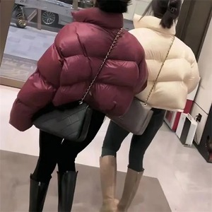 2025 abrigo ultraligero sin costuras para mujer moda de invierno cuello levantado rompevientos prendas de vestir piel de oveja característica transpirable - Product Image 2