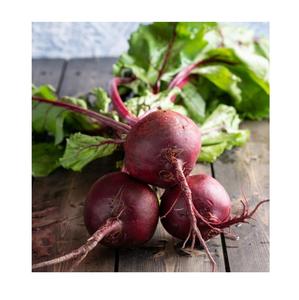 Betterave fraîche pour les salades, le jus et la cuisine - Product Image 3