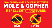 Accessoires répulsifs 100 % biologiques et écologiques contre les taupes et les gophers, à base de liquide, jetables