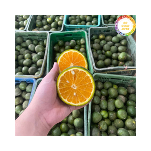 ผิวสีเขียวสดสีส้มจากเวียดนามวัสดุสุกเหมาะสำหรับขายปลีกสูตรการทำอาหารและการใช้น้ำผลไม้ - Product Image 4