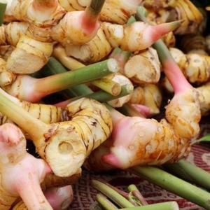 ข่าแช่แข็งขายดีที่สุด | 100% เครื่องเทศพรีเมี่ยมจากธรรมชาติจากเวียดนาม - Product Image 6