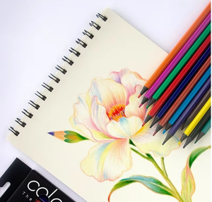 Crayons de couleur en plastique recyclé standard pour enfants, non toxiques, en vrac, 12/24 couleurs, Bview Art Factory - Product Image 3