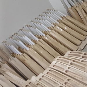 ค้างคาวแคชมิริวิลโลว์ - Product Image 1