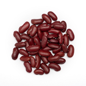 Frijoles de Riñón Secos Blancos Cultivados OGM Al por Mayor, Frijoles Negros Moteados a Granel, 25kg 50kg para Uso Alimentario - Product Image 6