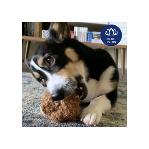 Juguete Masticable para Perros de Fibra de Coco Reforzada, Altamente Recomendado, para la Limpieza de Dientes - Product Image 6