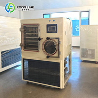 Machine de lyophilisation automatique pour fruits et légumes (piments, cerises) à vendre