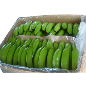 Vente en gros de bananes fraîches Cavendish vertes fournitures de haute qualité à prix compétitif - Product Image 6