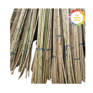 Poteaux de bambou lisses pour la décoration d'événements, la conception de restaurants et l'aménagement paysager - Product Image 4