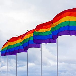 Pack of 2 <b>Rainbow</b> Gay Pride Flag, LGBT Lesbian 35Ft Banner, Stripe Outdoor Flags, Fade Resistant Durable Polyester with 2 - Product Image 1