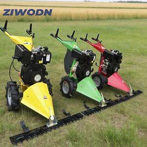 Falciatrice 6.5HP con Larghezza di Taglio 80/120cm, <span class=keywords><strong>Tagliaerba</strong></span> e Decespugliatore - Product Image 2