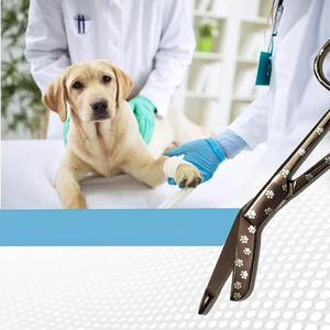 Ciseaux opératoires de meilleure qualité Ciseaux à pansement chirurgical à usage unique en acier métallique à sonde latérale pour usage hospitalier - Product Image 6