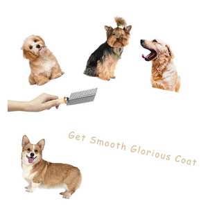 Peine para Mascotas Plegable y Duradero, Fácil de Usar, con Tecnología Láser para Uso Doméstico, Acero Inoxidable de Alta Calidad para Pelo Grueso y Enredado - Product Image 5