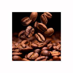 Café Arabica Biologique en Gros, Grains Torréfiés de Qualité Supérieure, Sachets Sous Vide en Vrac pour la Revente - Product Image 5