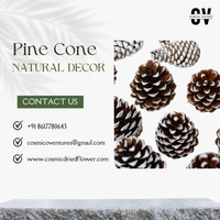 Kualitas Premium Ramah Lingkungan Kerucut Pinus Abadi DIY Pernikahan Wisuda Halloween Hari Ayah Rumah Kantor Dalam/Luar Ruangan