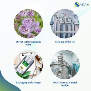 100% Aceite esencial de Pennyroyal puro y natural Embalaje personalizado a granel al por mayor a bajo precio - Product Image 4