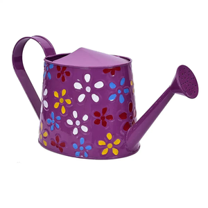 Nouveau design Artisanat Arrosoir en métal jardin et Excellent design Fournisseur de jardin nouvel arrosoir en métal - Product Image 5