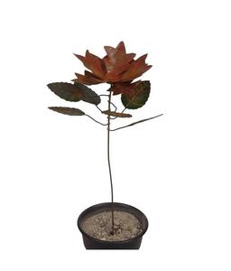 <b>GARDEN</b> <b>DECORATIVE</b> IRON <b>GARDEN</b> STICK IVORY COLOUR MODERN STYLE <b>GARDEN</b> <b>STAKES</b> HAND MADE - Product Image 2