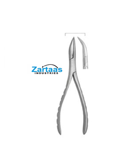 Forceps d'extraction dentaire en acier inoxydable de haute qualité fig 300 Fabricant d'instruments dentaires - Product Image 1