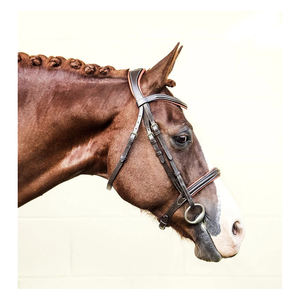 Utimizado para plegar el arroz, remache plegable - Product Image 1