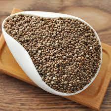 Semilla perilla - Product Image 2