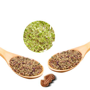 Luzerne | Nutrition sèche à base de plantes | Formule à haute teneur en protéines - Product Image 2