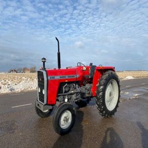 Tracteurs Massey Ferguson 290 d'occasion parfaits, 80 CV, automatiques, avec capot et sans boîte de vitesses, garantie de 3 ans en stock, livraison rapide - Product Image 1