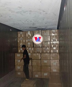 Aguacate Congelado IQF para Exportación al por Mayor |   Origen Vietnam - Product Image 2