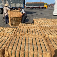 Fibre de coco en gros - ignifuge et résistante aux produits chimiques pour le filage et les fermes, matériau naturel en stock et livraison rapide