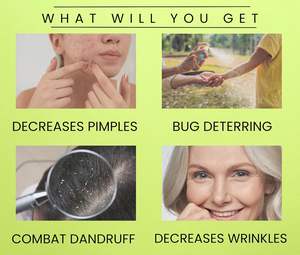 Logotipo personalizado de aceite esencial de orégano Fabricante a granel Grado cosmético Cuidado corporal Origanum Vulgare Aceite esencial de orégano natural - Product Image 4