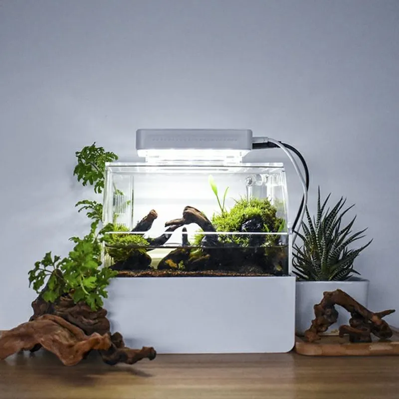 Relax lines neue Paludarium-Tanks für Turtle Office Home Desktop Dekoration Schildkröten panzer