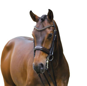 Brida de caballo de doma de cuero marrón Premium con piedras de sombra de cobre brillante banda para cejas de charol y banda para la nariz - Product Image 1