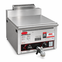 Friteuse à gaz de comptoir, machine à frire au gaz commerciale pour poulet frit, frites et snacks
