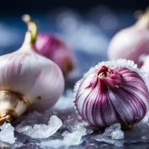 MEILLEURE VENTE EN GROS ÉCHALOTE CONGELÉE ÉTIQUETTE PROPRE PRODUIT STANDARD À L'EXPORTATION - Product Image 6