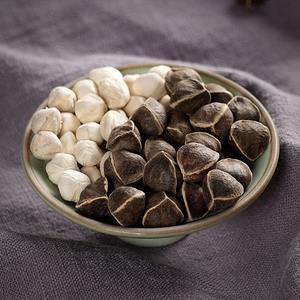 Graines de Moringa de la meilleure qualité à prix de gros, graines d'Oleifera naturelles exportées du Vietnam - Product Image 6