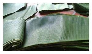 Hoja-100% Natural-Hoja/hojas de plátano congeladas-PARA Paquete de embalaje de supermercado de 99 DATOS DE ORO - Product Image 3