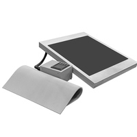 Nouvelle presse à chaud avec plaque à plat de chauffage inférieure indépendante accessoire de chauffage double pour condition nouveau
