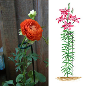 Supports pour plantes fleuries en 5 parties pour fournitures de jardinage et décorations extérieures - Product Image 6