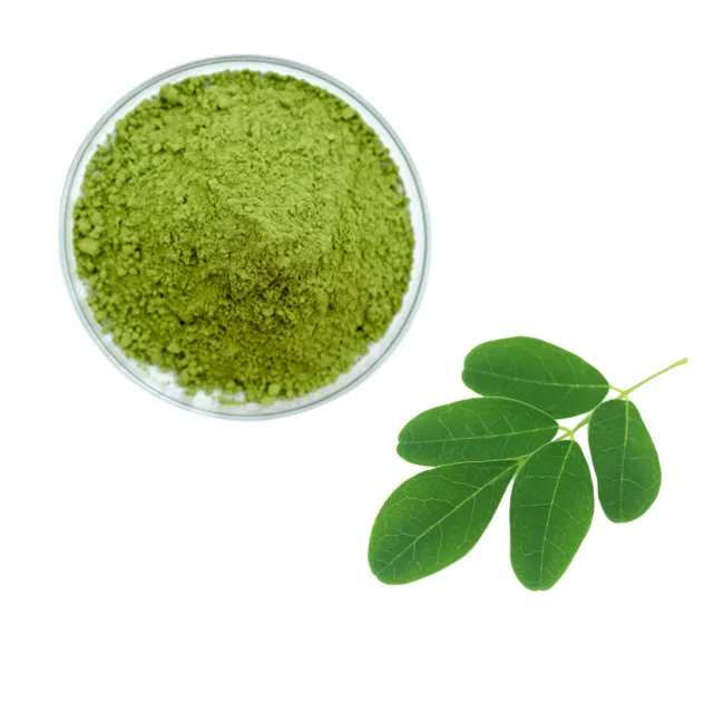 Toptan moringa yaprağı tozu 2023 doğal Moringa tozu ucuz fiyat şeker hastaları ve diyabet yüksek vitamin için iyi